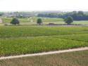 All of these vineyards belong to the Chateau